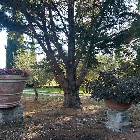 Borgo In San Angelo * Cortona